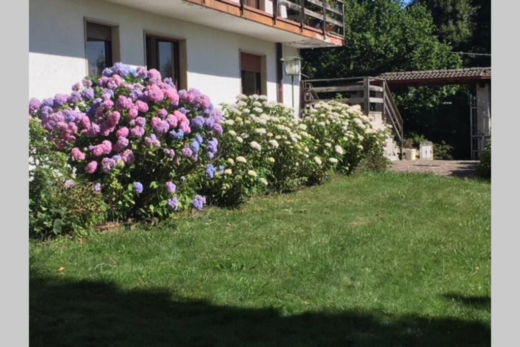 Villa Immersa Nel Verde A Lanzo D'Intelvi Exterior photo